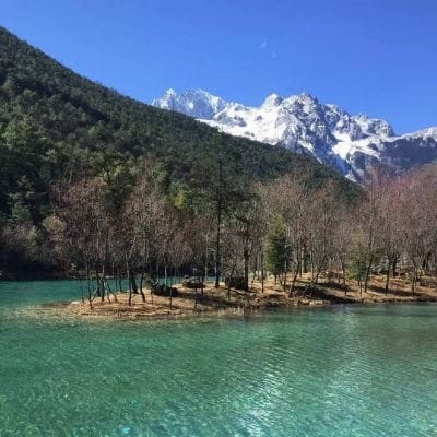 Rahim Pardesi avatar