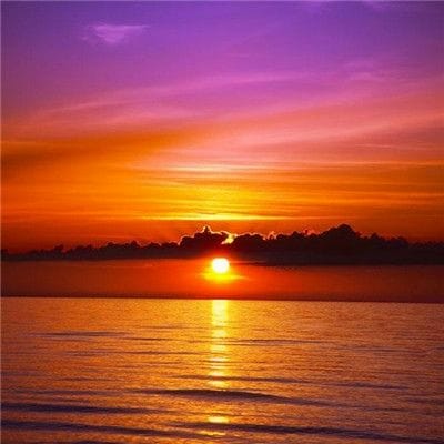 آغا علی avatar